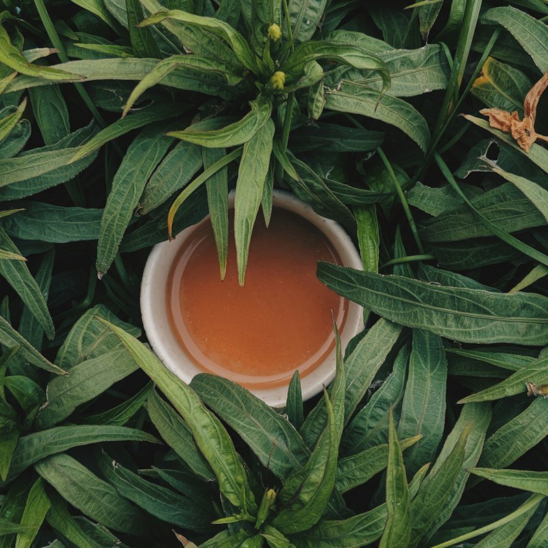 Té de hierbas 100 g