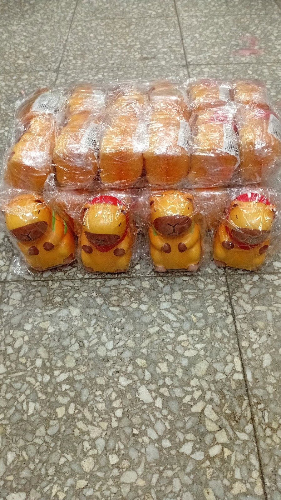 skushi Capibara
